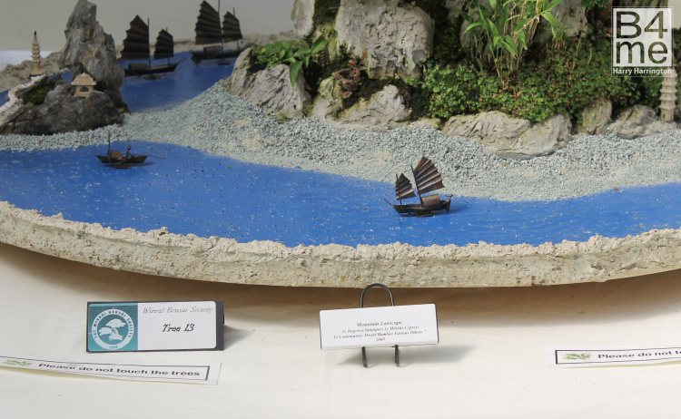 rock planting
